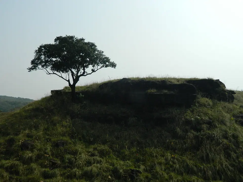 A single tree on the rock table of Matcha Nokpante on the grassy Balpakram plateau