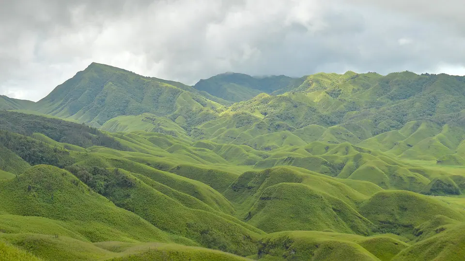Rolling bright-green hills of Dzukou Valley on the Nagaland–Manipur border under grey cloud