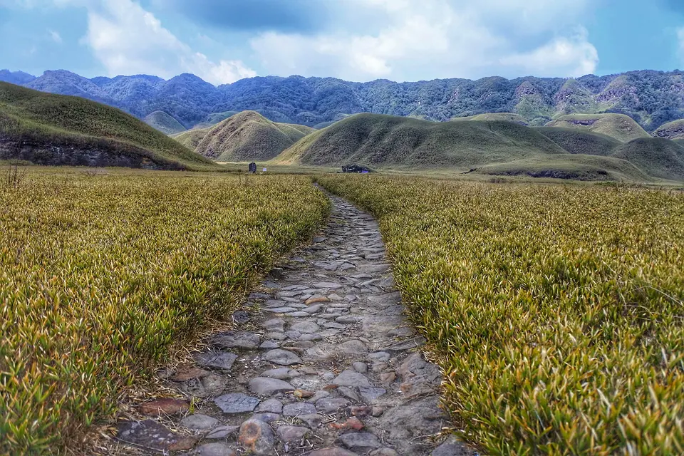 A stone path through dwarf bamboo leading across Dzukou Valley toward blue ridges