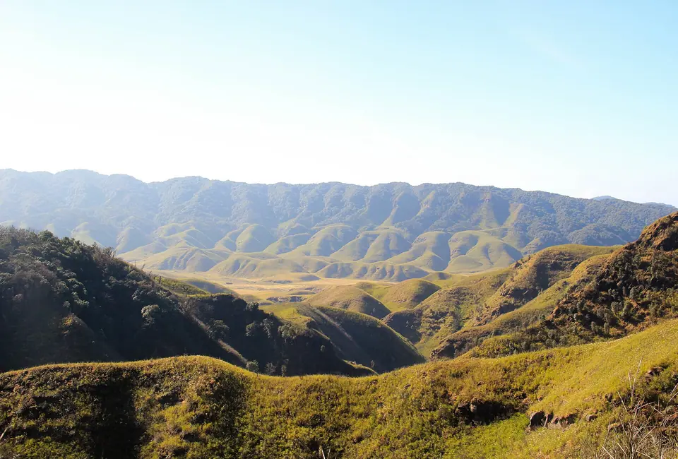 Late light on the folded grassy hills and forest pockets of Dzukou Valley