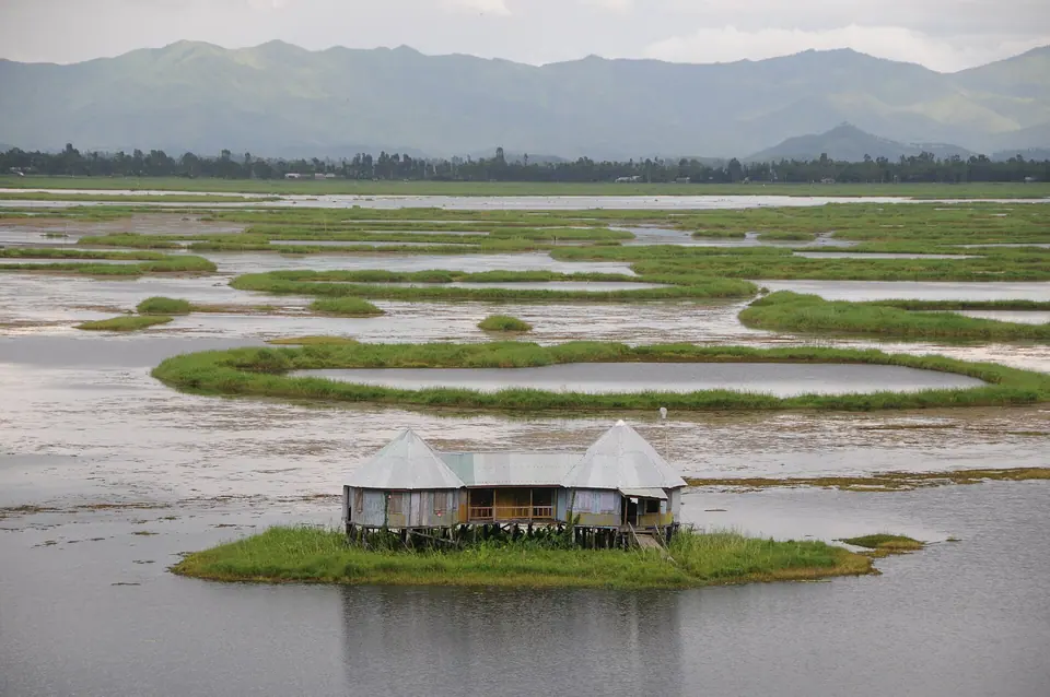 A thatched hut on a floating phumdi island amid rings of green phumdis on Loktak Lake, Manipur