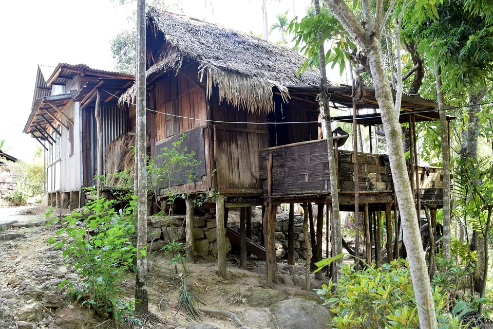 Traditional Khasi house on stilts with a thatched roof among trees in Mawlynnong