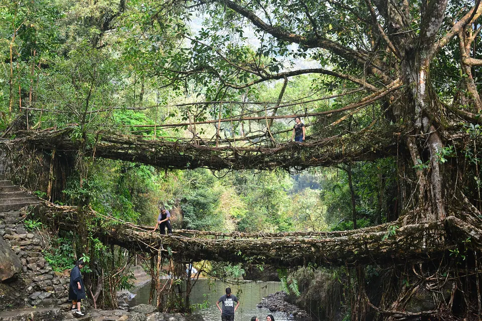 The two-tier Double Decker Living Root Bridge at Nongriat spanning a clear stream in dense forest