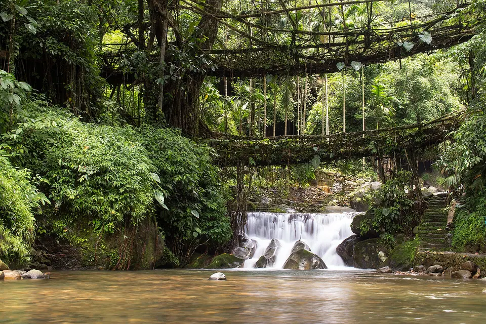 Double Decker root bridge at Nongriat above a small waterfall and a brown pool
