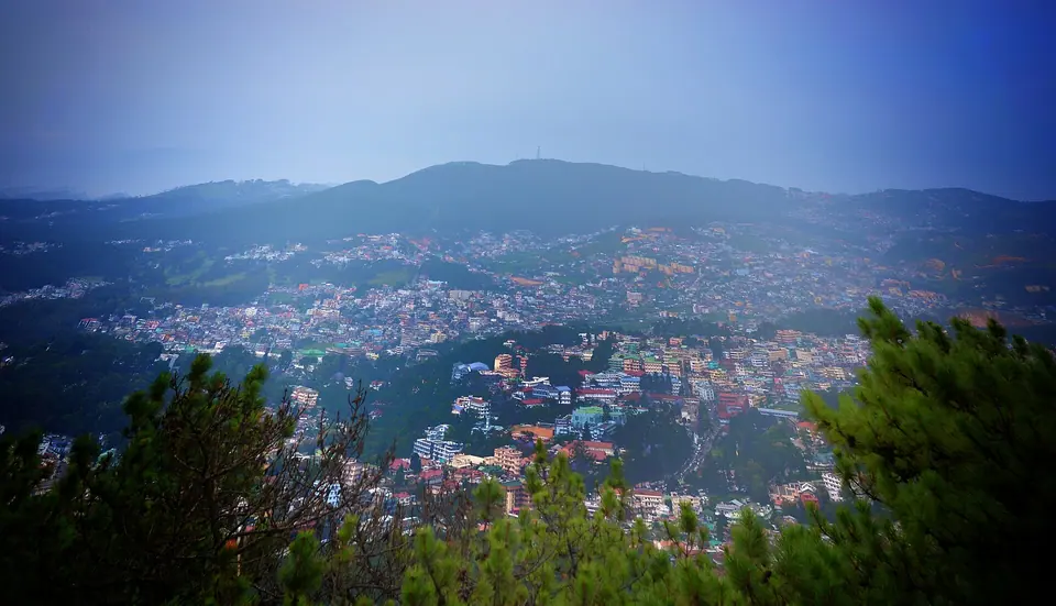 Shillong city climbing forested hillsides at dusk, with pine trees in the foreground