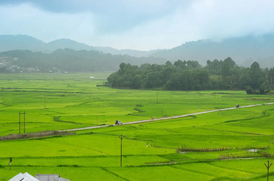 A patchwork of green paddy fields stretching across Ziro valley under misty hills