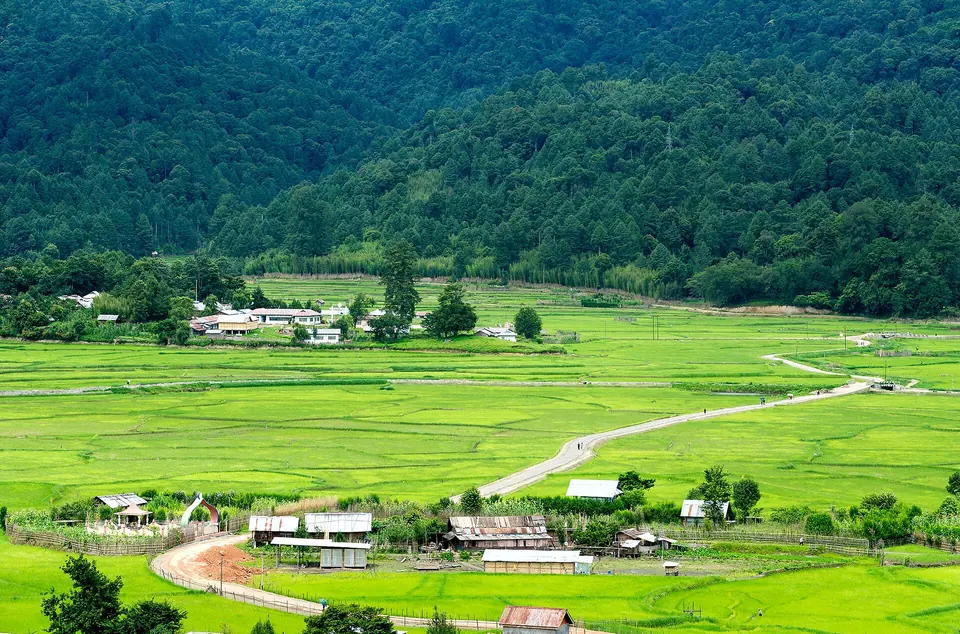 Bright green paddy fields and an Apatani village spread across the flat floor of Ziro valley below forested hills